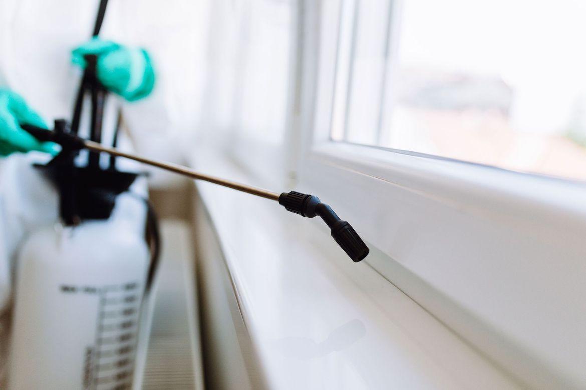 Affordable pest control service in Edinburg, TX