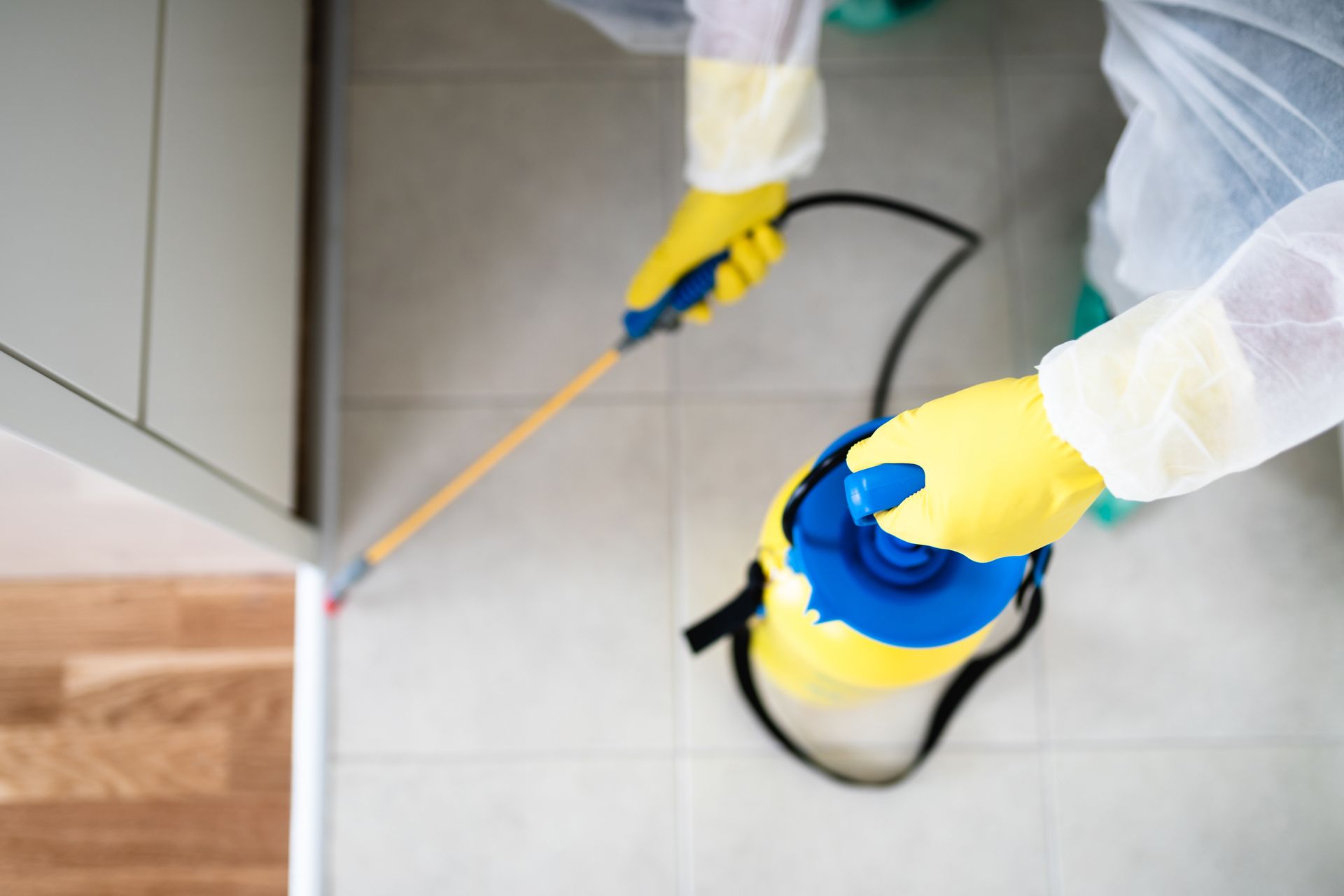 Insect and Termite Removal
